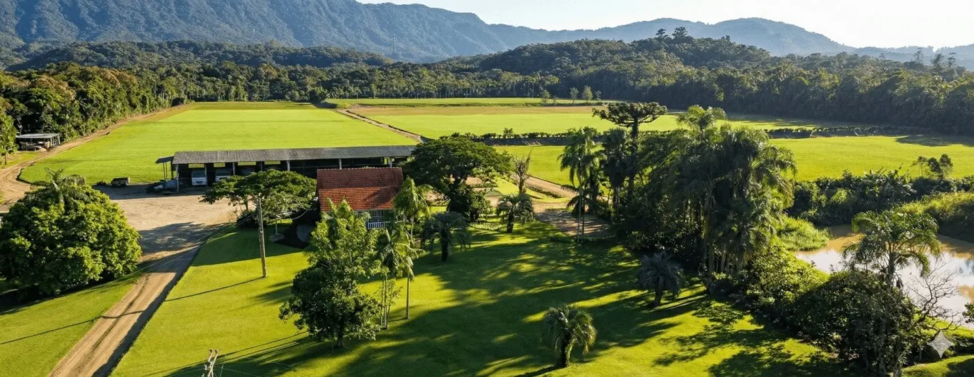 Visão Aérea - Grameira Felippi