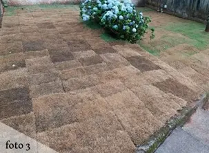 Gramado com falta de irrigação